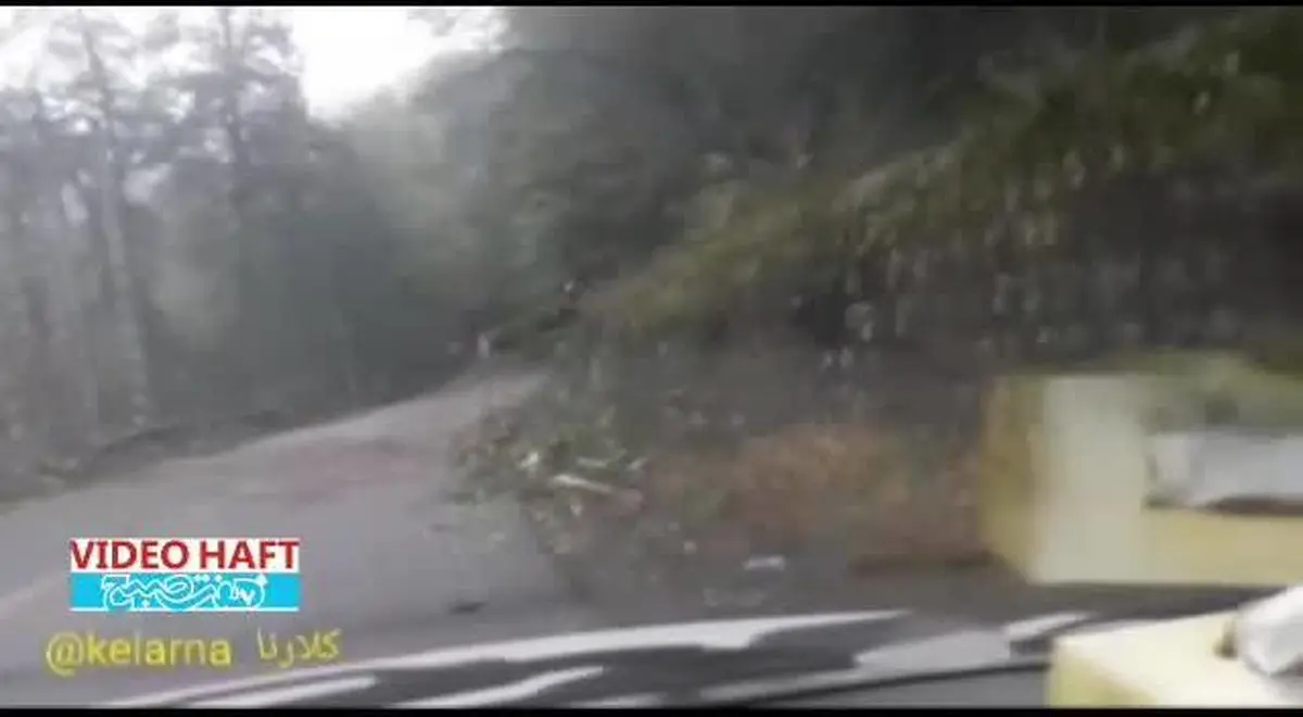 ویدیو هفت|قطع درختان جنگل عباس آباد