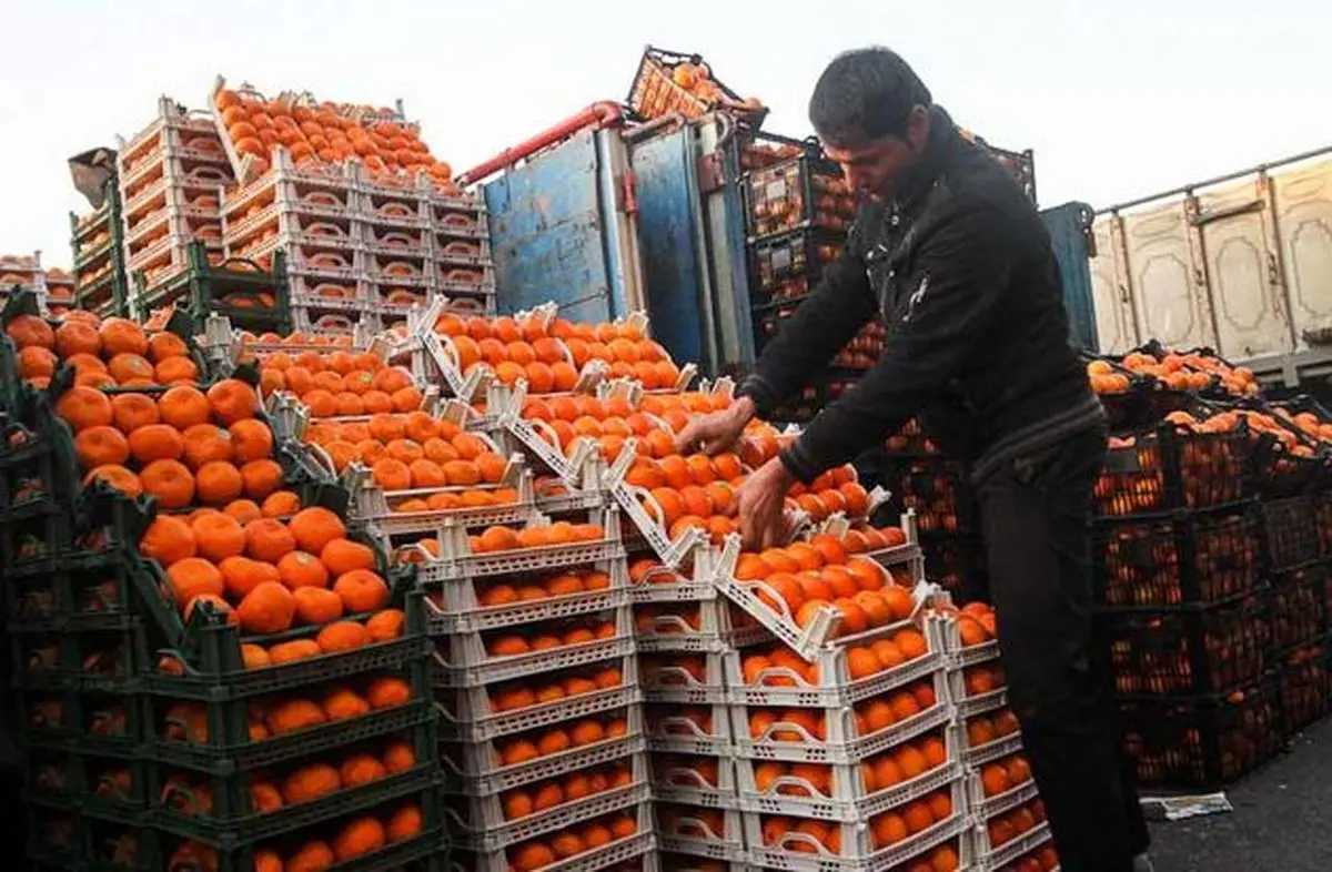 به جای پرتقال، نارنگی بخورید