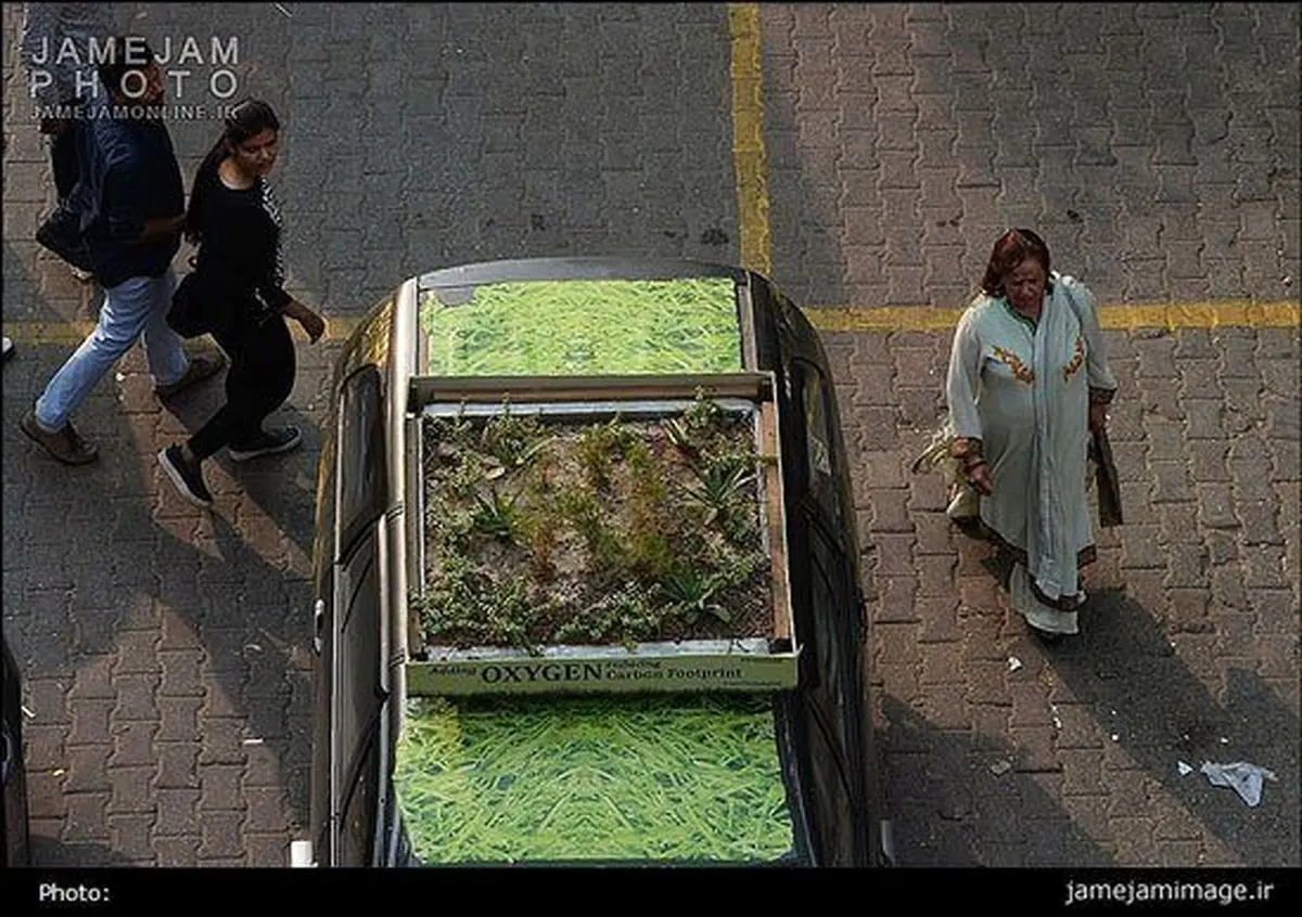 نگهداری گیاه بر سقف خودرو