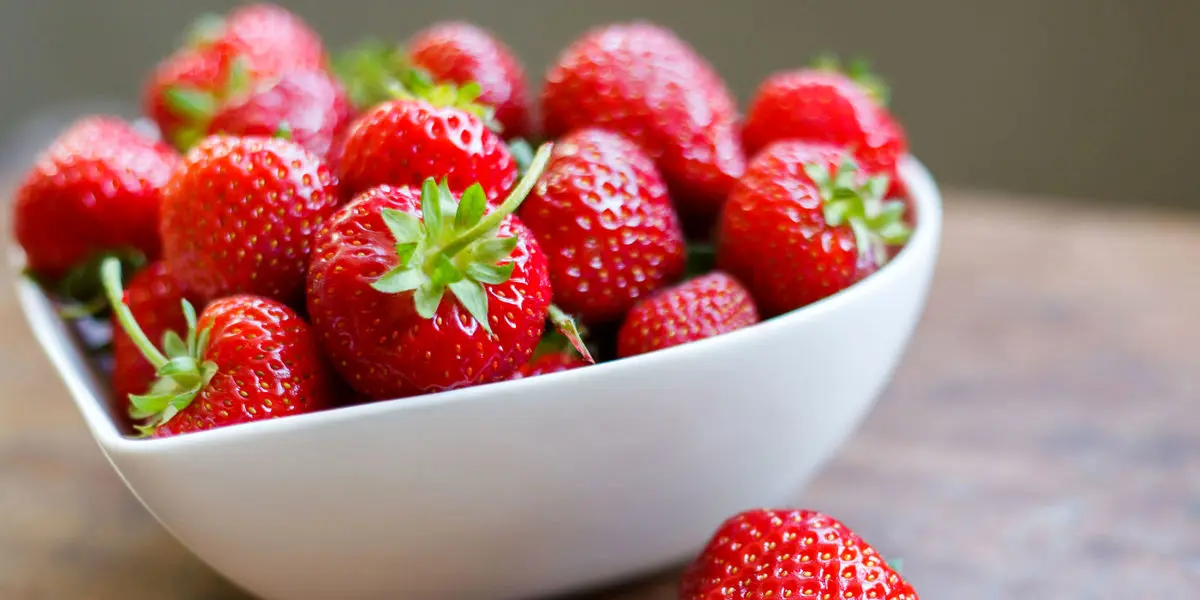 خوراکی هایی که باعث چاقی نمی شوند