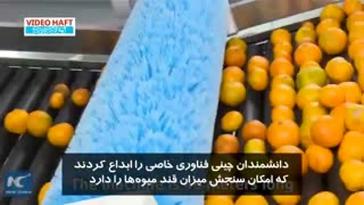 ویدیو هفت|فناوری چینی برای سوا کردنِ میوه های شیرین تر