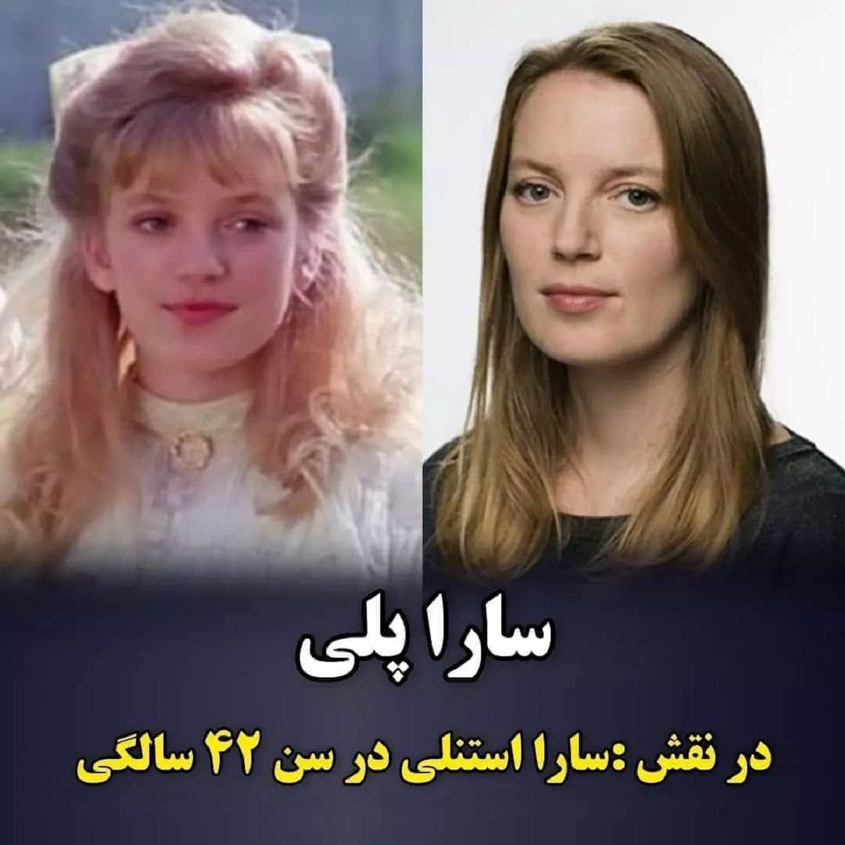 بازیگران قصه های جزیره6