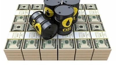 علیرضا بیرانوند: پرتاب‌های بلندم به خاطر چوپانی کردنم هست همیشه مجبور بودم این مدلی مواظب گوسفندانم باشم، ما بستگانی داشتیم که حتی نمی خواست صدای ما را بشنود اما...