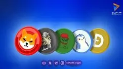قیمت میم کوین ها امروز ۱۱ شهریور ۱۴۰۵ 