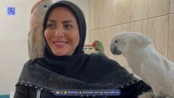 آلبوم تولد المیرا شریفی مقدم خانم مجری صدا و سیما در ۴۴ سالگی