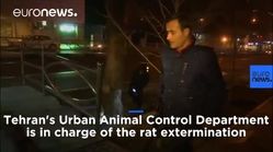 ویدیو هفت| گزارش یورونیوز از تک‌تیرانداز‌هایی که موشهای تهران را شکار می‌کنند