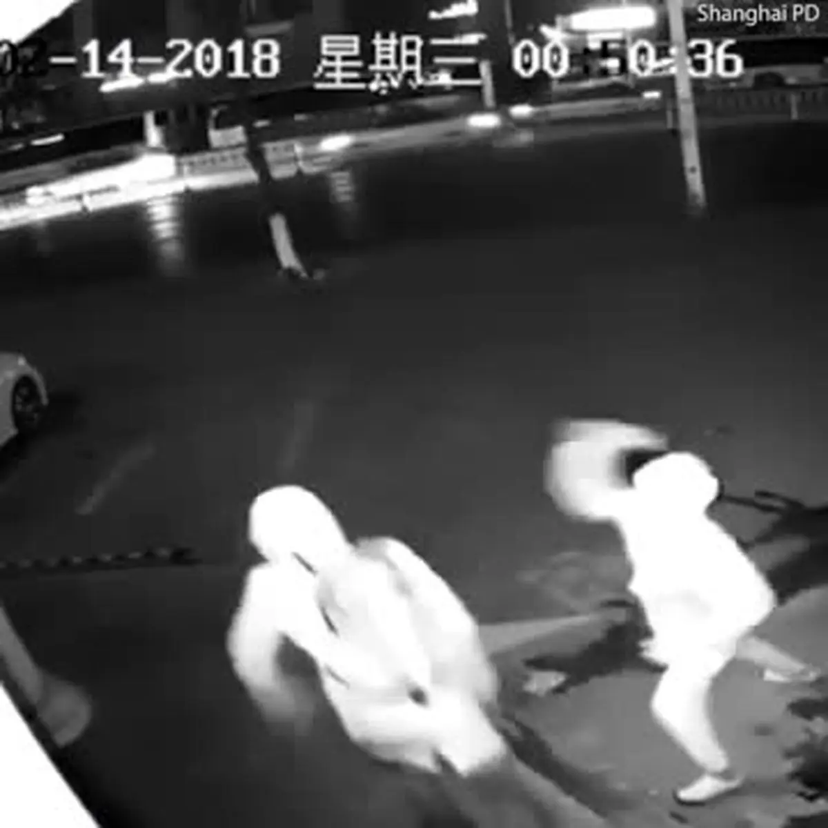 ویدیو هفت| ناشی‌ترین دزدهای سال را ببینید