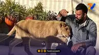 واکنش امیر علی اکبری به مرگ شیر ارم؛ تو قشنگرین خاطره من بودی