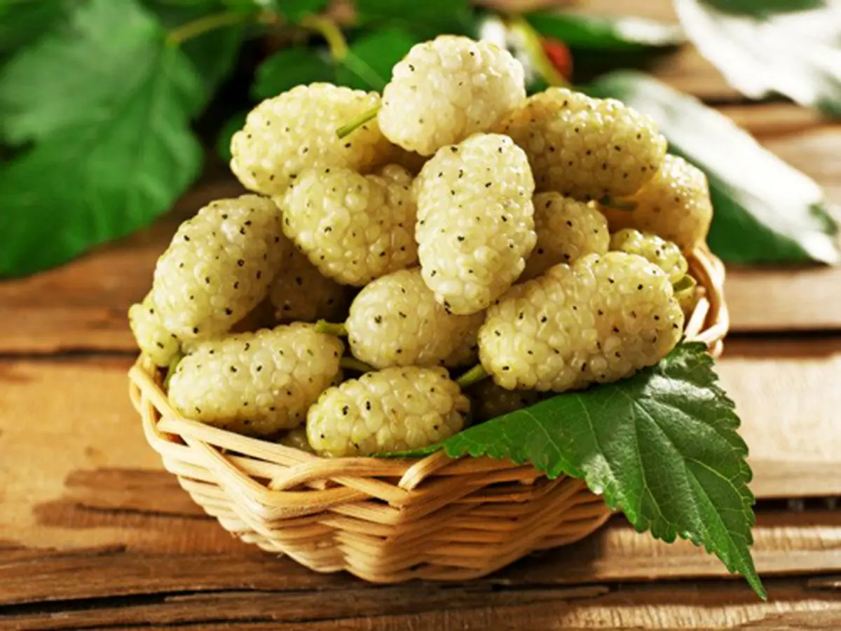 خواص جالب توت سفید