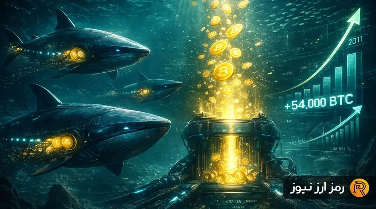 کوسه‌های بیت‌کوین چگونه در یک هفته ۵۴ هزار BTC جمع کردند؟ بازگشت به الگوهای طلایی ۲۰۱۱ و ۲۰۱۲؟