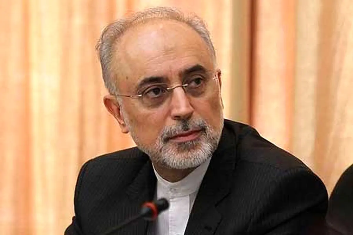 صالحی: اگر افغان‌ها در ایران نبودند چه می‌کردیم؟