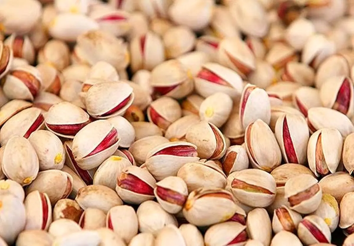 پسته به ۱۳۰ هزار تومان رسید