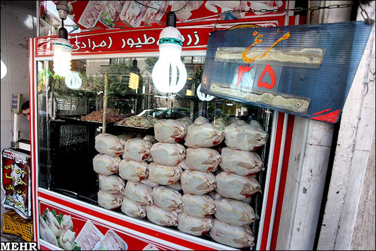 روند کاهشی نرخ گوشت مرغ به دلیل کاهش تقاضا