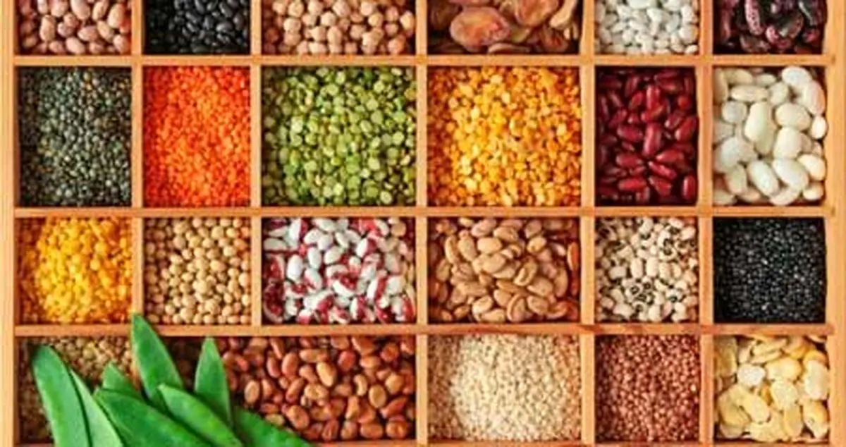 مردم ندارند گوشت بخرند، حبوبات می‌خورند