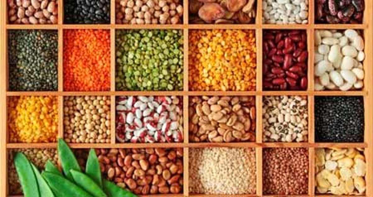 مردم ندارند گوشت بخرند، حبوبات می‌خورند