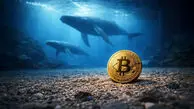 اشتباه بزرگ در تحلیل بیت کوین؛ خبری از خرید ۵ میلیارد دلاری نبود!