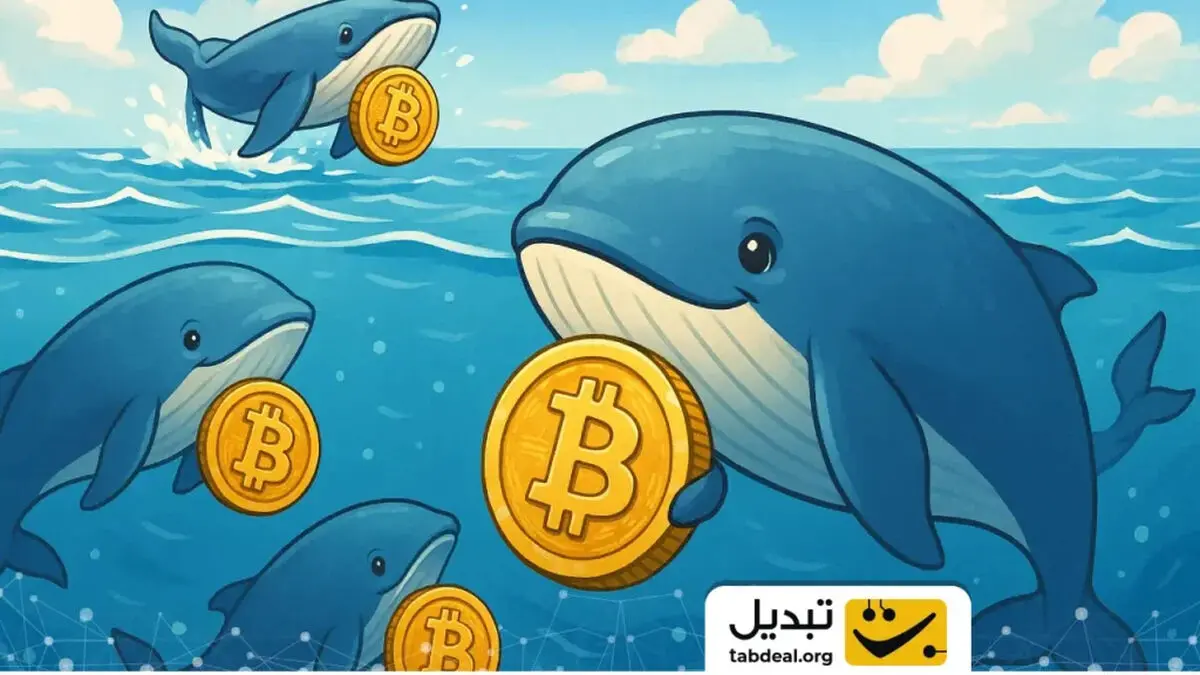 نهنگ‌های تازه نفس چگونه بازار بیت‌کوین را زیر و رو کردند؟