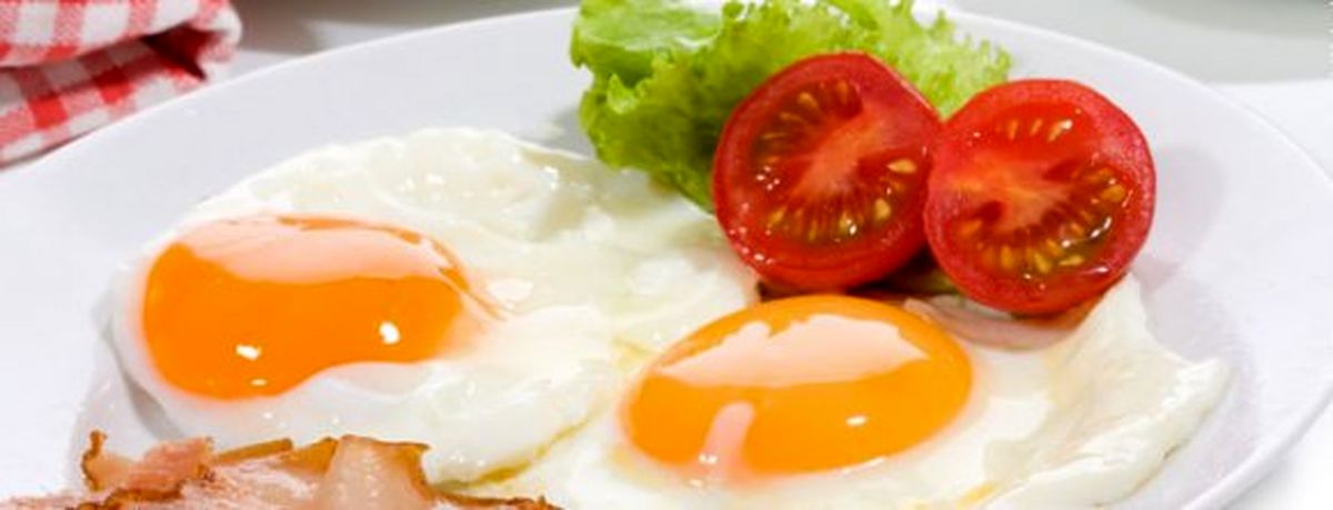 رژیم تخم مرغ، یک رژیم سریع و آسان برای لاغری