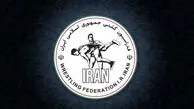 ۴ میلیارد تومان پاداش کسب مدال طلای جهانی