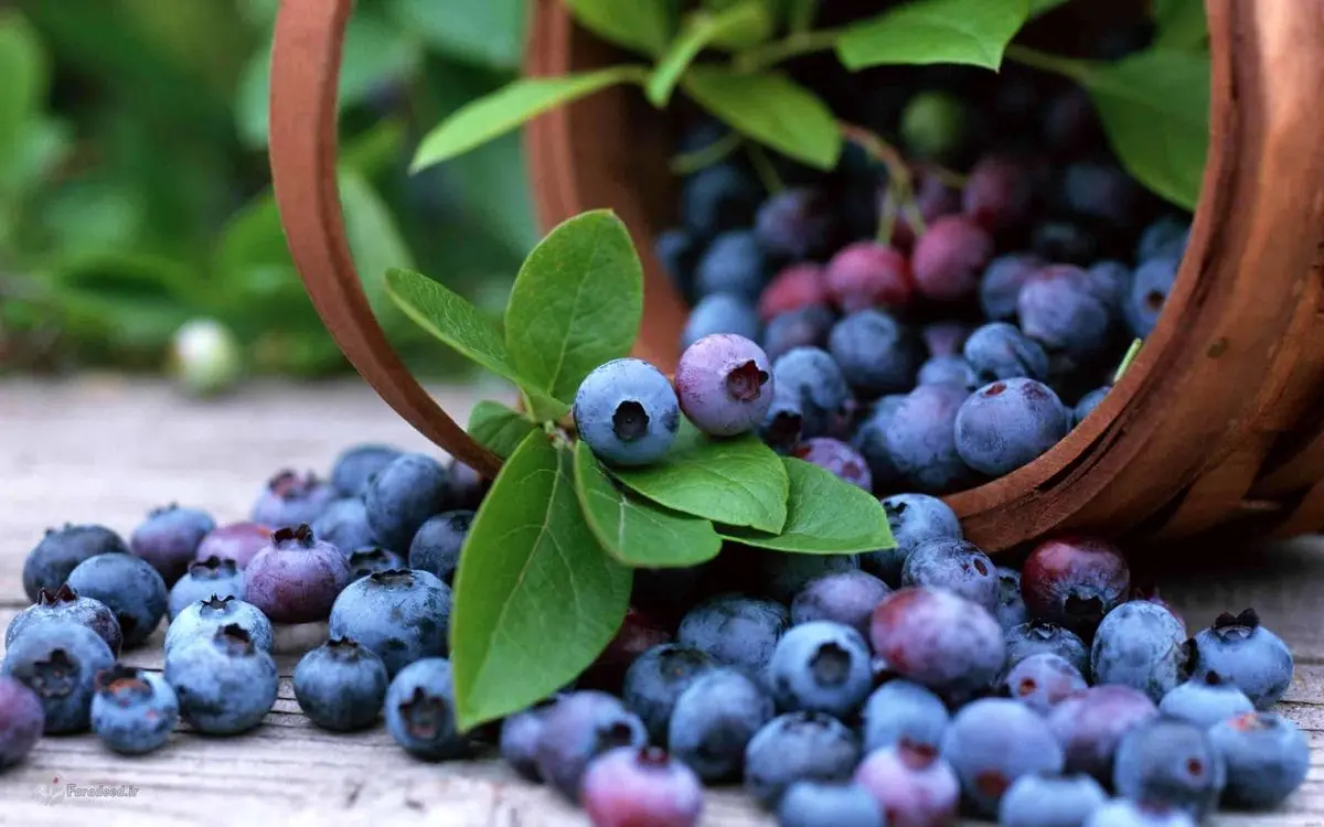 برای تمرکز چه بخوریم؟