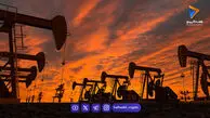 پیتر شف: آمریکایی‌ها درد افزایش قیمت‌ها را خواهند چشید