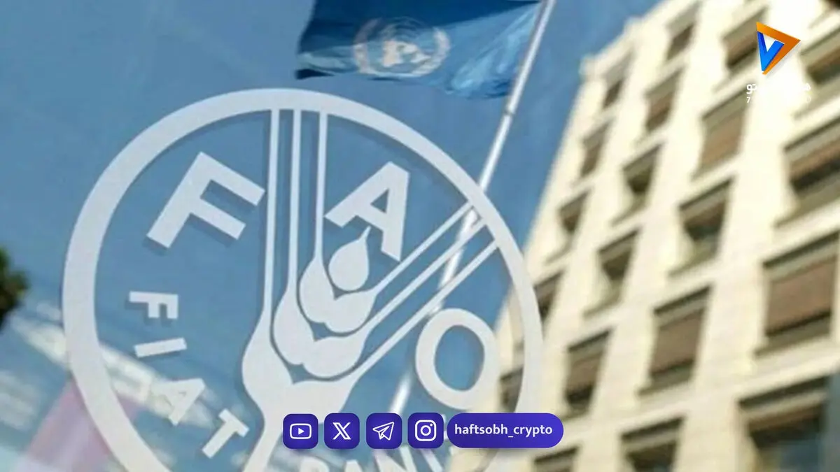 رشد 2.4 درصدی قیمت جهانی غذا در یک ماهه جنگ آمریکا علیه ایران