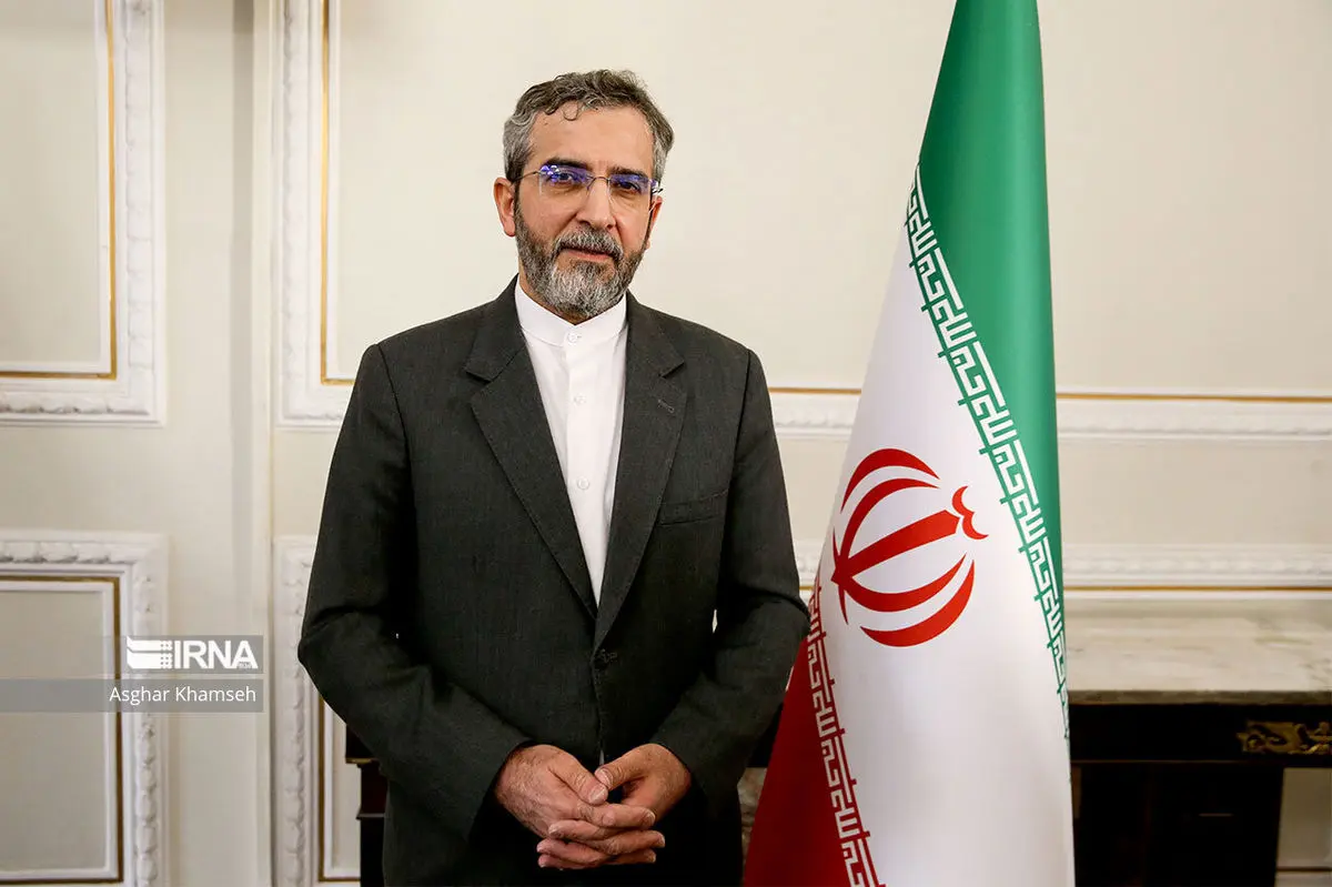 استقبال خبرگزاری دولت از دیدار باقری با اروپایی ها برای احیای برجام
