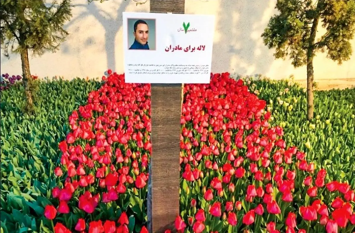 پيگيری هفت‌صبح از علت توقف پروژه كاشت «لاله برای مادران»