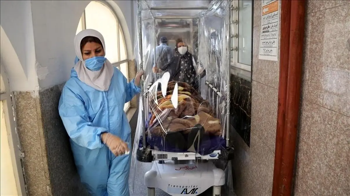 عامل افزایش دوباره بیماری کرونا در کشور شناسایی شد