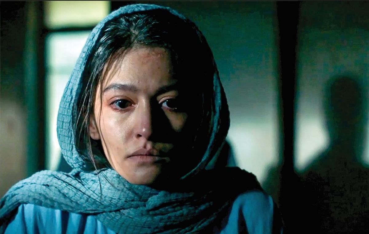 آنچه در پوست شیر گذشت؛ از غم ‌ساحل‌ تا عشق ‌پروانه‌