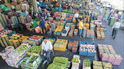 طلسم «سیاه بهار» در بازار میوه