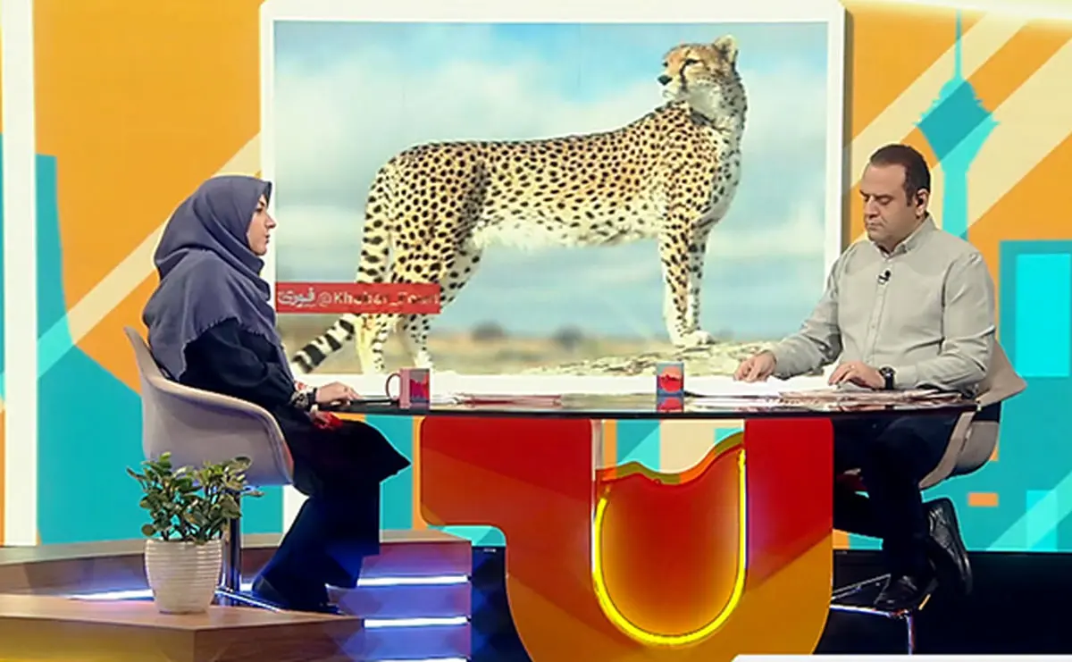 آنالیز | برنامه‌های صبحگاهی شبکه‌های مختلف تلویزیون