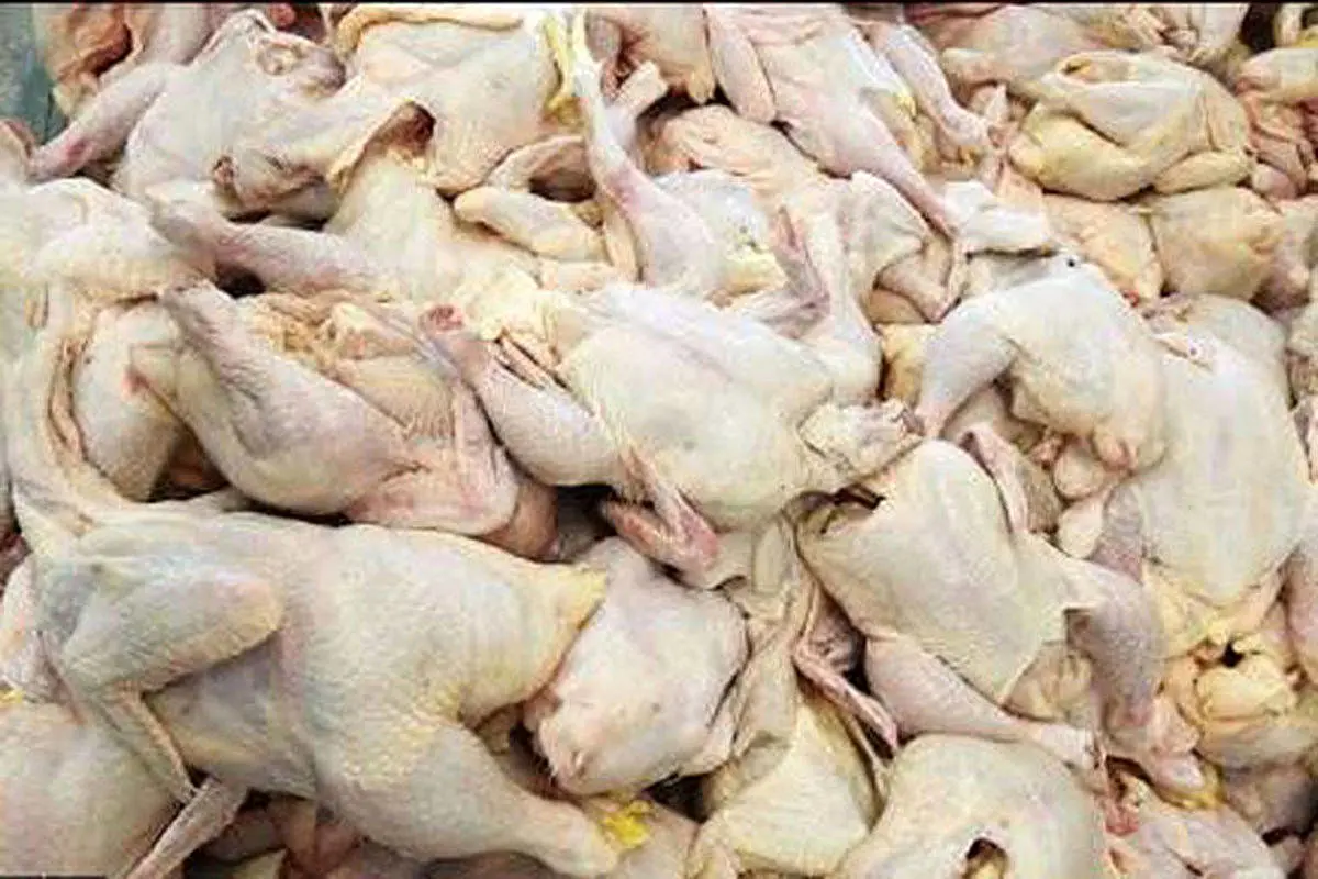 کشف ۱۵۰ تُن گوشت و مرغ احتکار شده در تهران