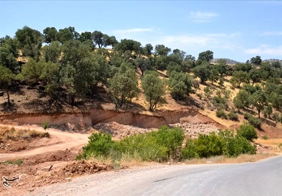 زمین‌خواری ۲۰ میلیاردی در مناطق جنگلی ساری