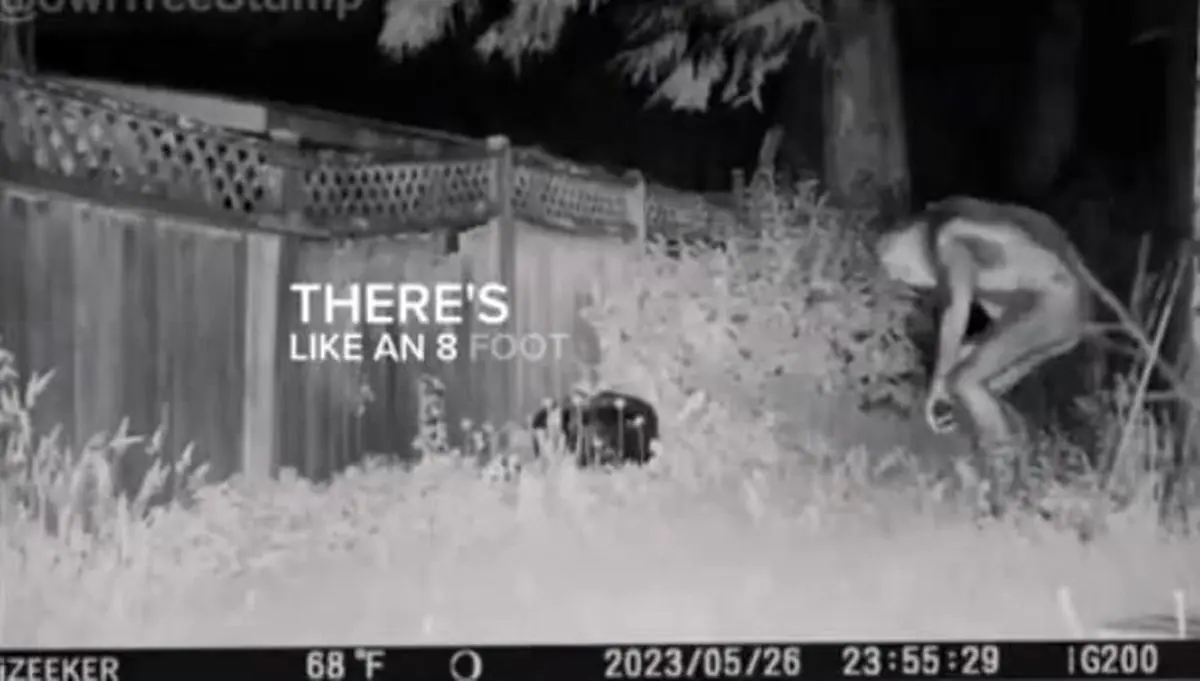 آدم فضایی سه‌متری فضای مجازی را به هم ریخت