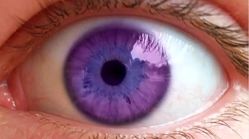 عجیب‌ترین رنگ چشم جهان؛ بنفش!