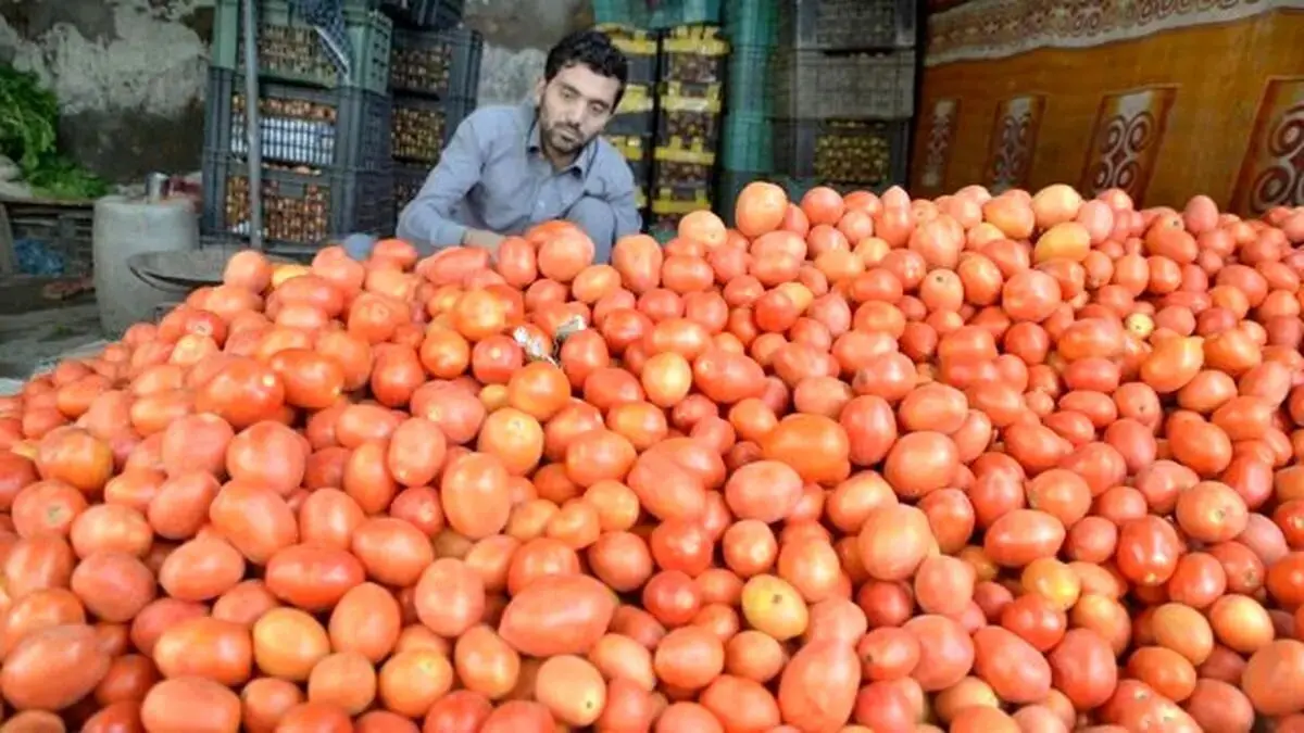 ورود ۹ محصول کشاورزی ایرانی به عراق ممنوع شد