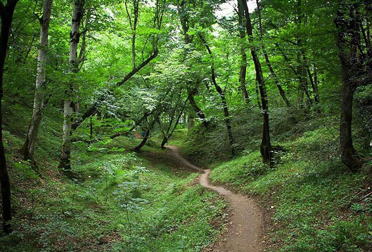 افزایش دمای تدریجی در مازندران تا اوایل هفته آینده