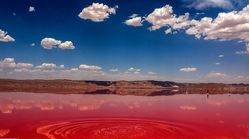 گزارش تصویری؛ دریاچه‌ خون در حوالی شیراز