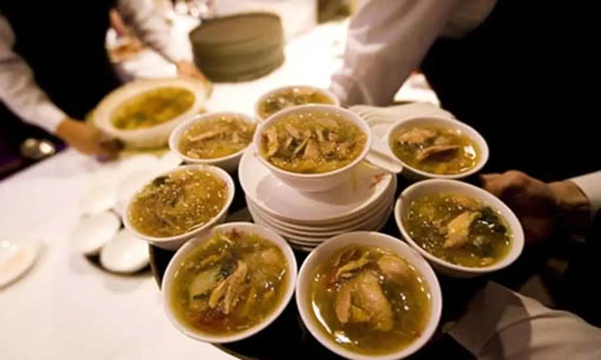 باور کنید خوردن این غذاها ممنوع است