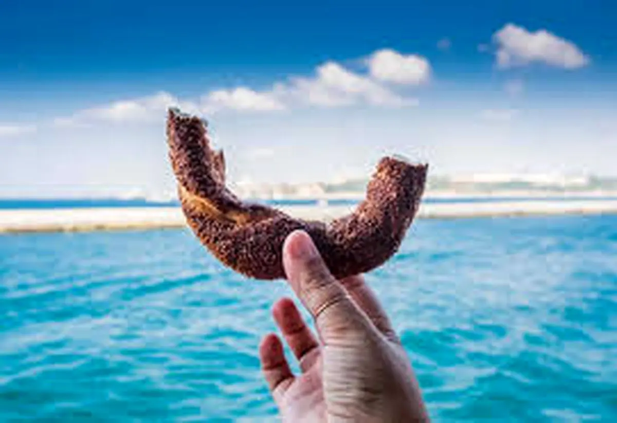 در استانبول چی بخوریم؟