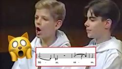 موسیقی پرطرفدار با تقلید صدای گربه!