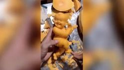 وقتی تربچه و هندوانه، اثر هنری می‌شوند!