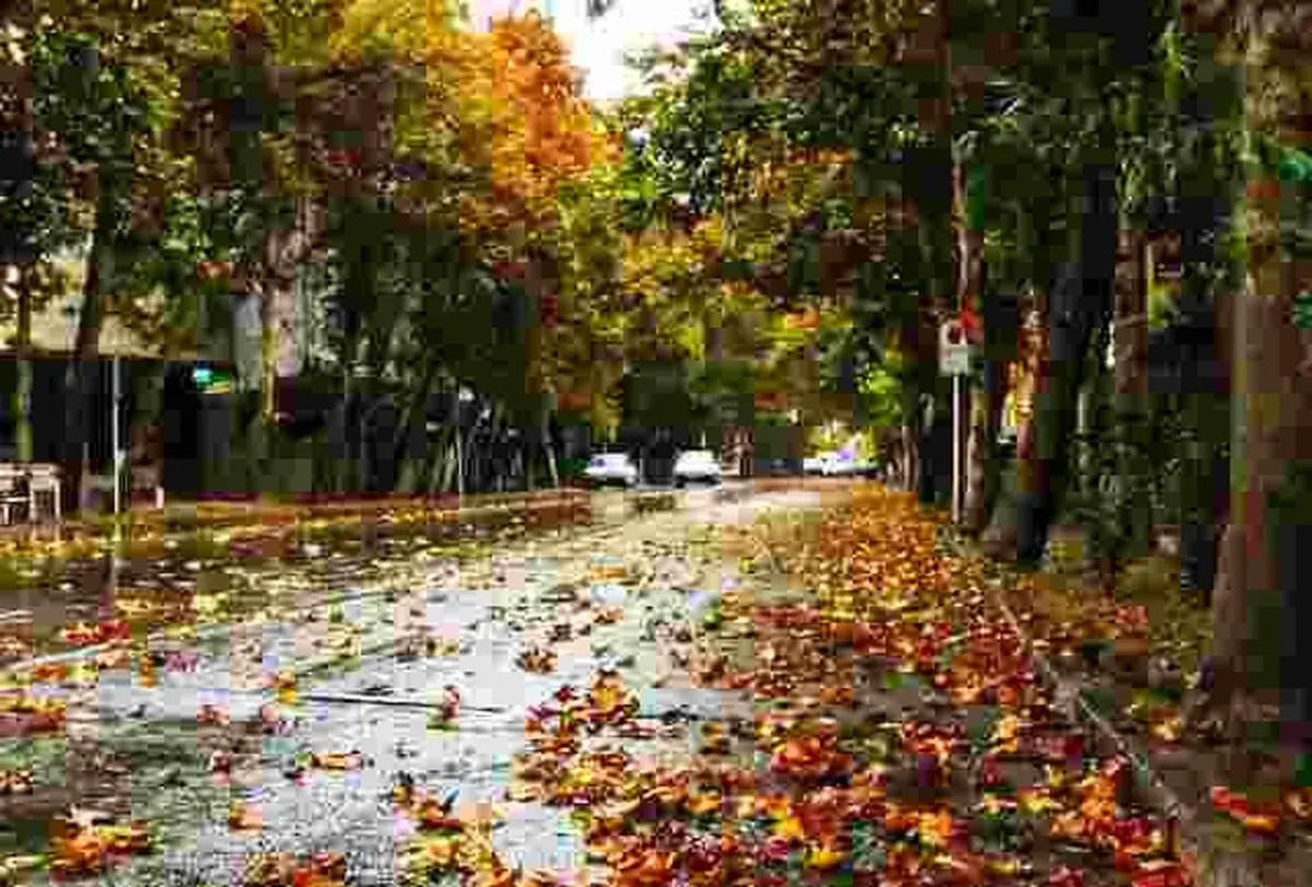 تک‌نگاری / سبز شو خیابان، سبز شو خانه