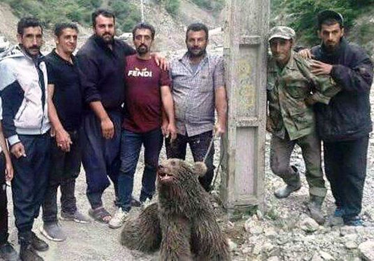 حیوان‌آزاری چه مجازاتی دارد؟