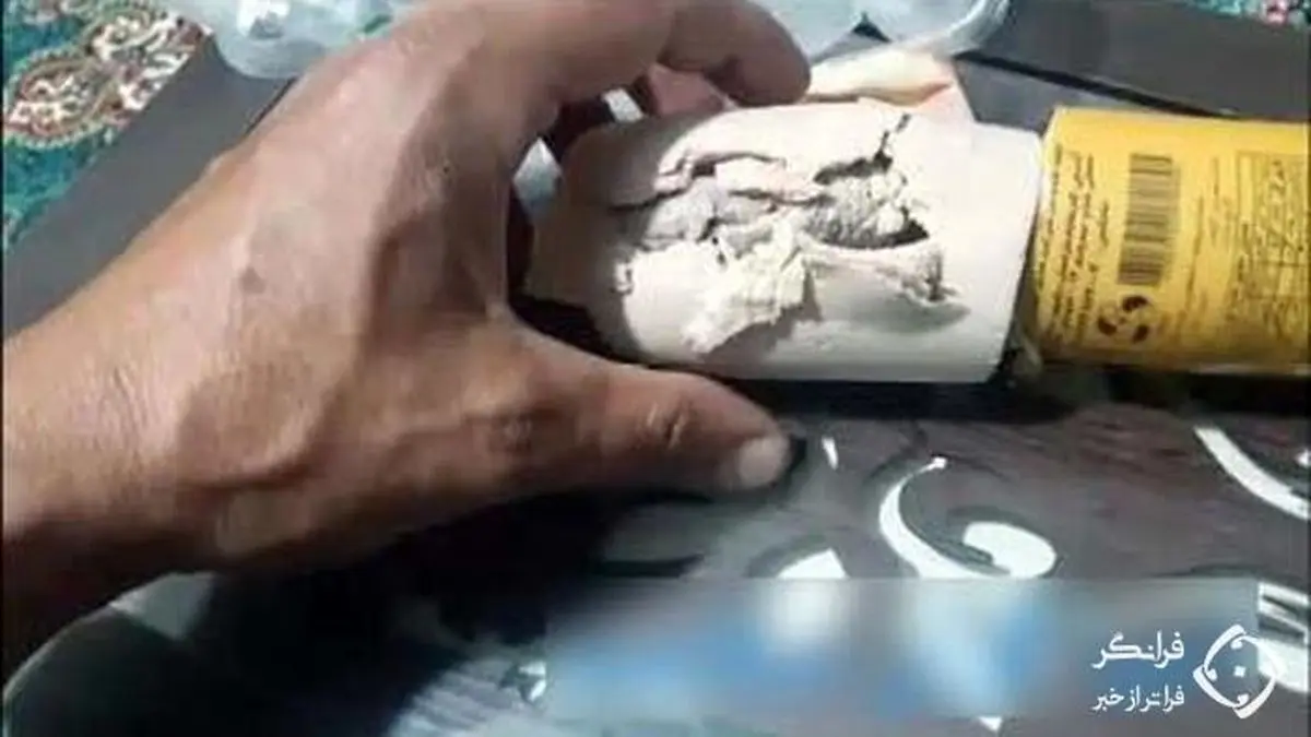 پیدا شدن موش داخل بسته کالباس!