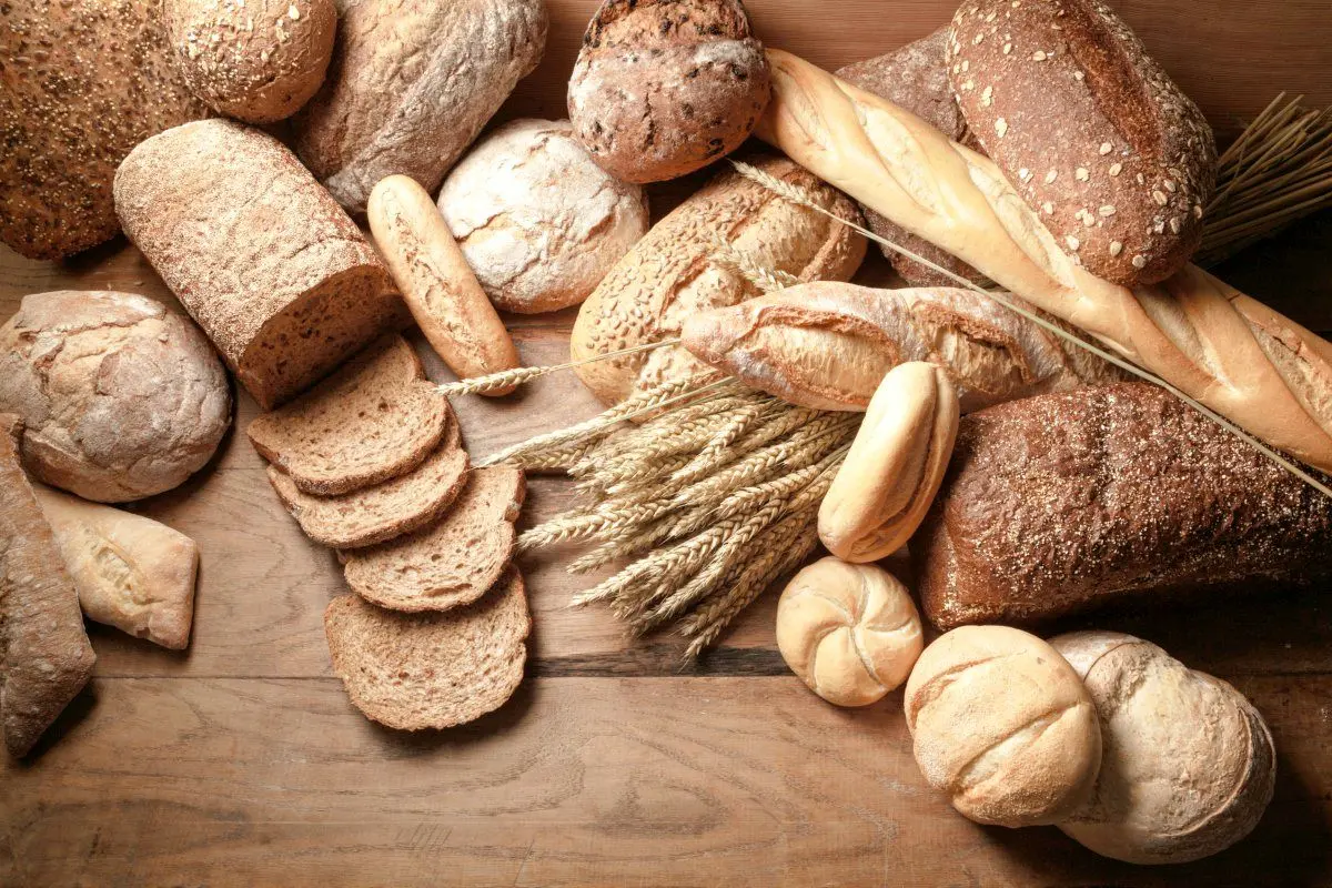 گلوتن چیست ؟