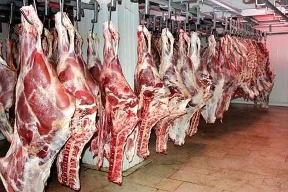 قاچاق گوشت قرمز اتوبوسی شد!