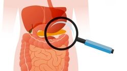 نقش پانکراس در هضم غذا چیست؟