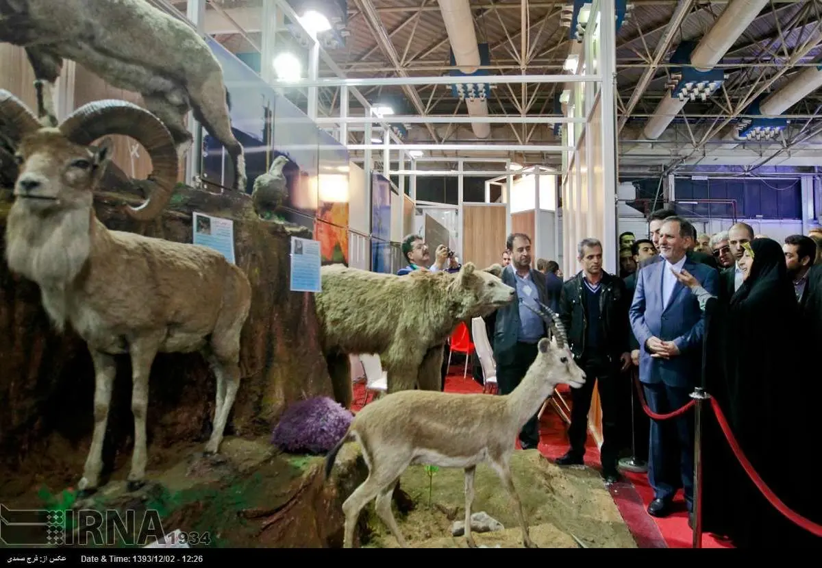 مسجدی با معماری زیبا به سبک غار حراء